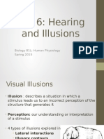 Hearings Illusion-Student