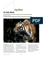 Malayan tigers get boost to support on-ground protection