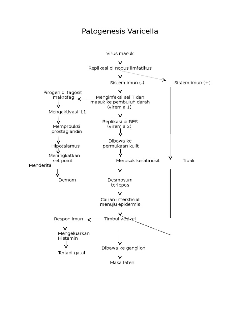 Patogenesis Varicella FIX | PDF