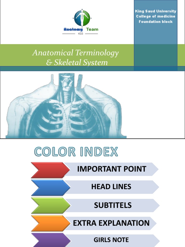 Anatomical Terminology & Skeleton System | Anatomical Terms Of Motion