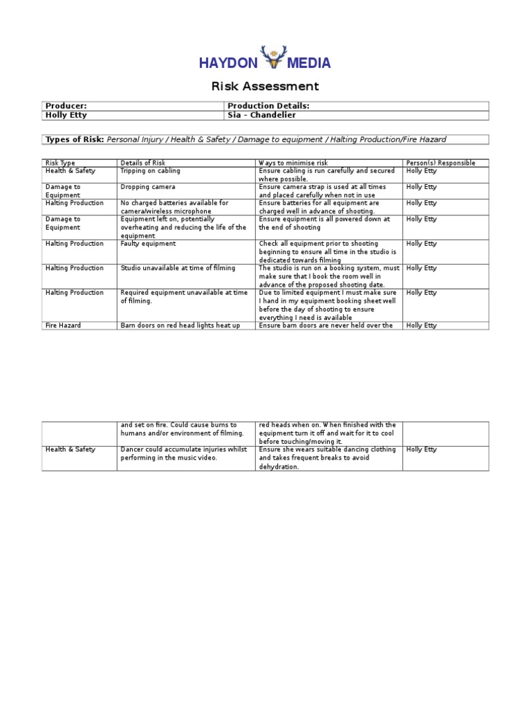 Risk Assessment | PDF