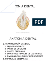 Anatomiadental 120910133212 Phpapp02
