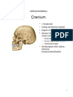 Bahan Ospe Cranium