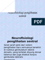 DR - Elitha-Neurofisiologi Penglihatan Sentral