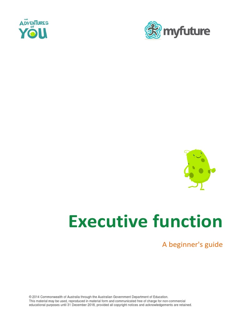 Executive Functions PDF Executive Functions Working Memory