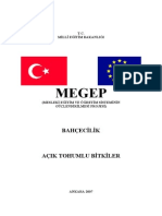 Açık Tohumlu Bitkiler PDF