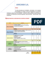 Anicama PDF