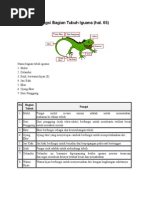 Nama Dan Fungsi Bagian Tubuh Iguana