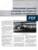 30 Enfermermedades Producidas Por Hongos en Las Plantas Ornamentales