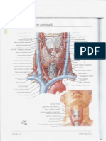 Atlas de Anatomie Generala