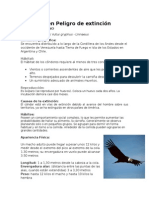 Animales en Peligro de Extinción (El Condor)