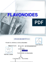 Flavonoides.pdf