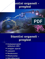 Stanicni Organeli - Ostalo