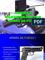 Armas de Fuego