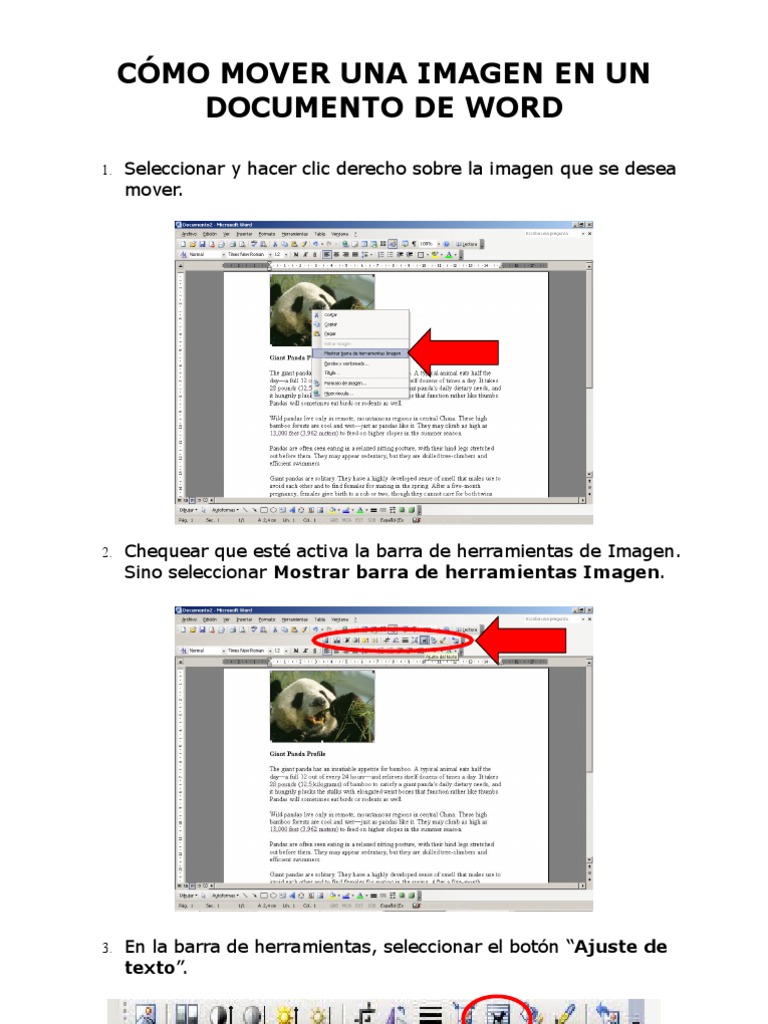 CÓMO MOVER UNA IMAGEN EN UN DOCUMENTO DE WORD