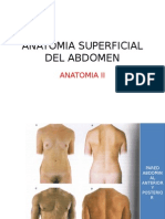 3.6 Anatomia Superfical Del Abdomen