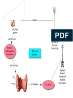 Thyroid Hormone Word