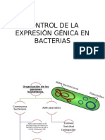 Control de La Expresión Génica en Bacterias