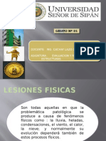 LESIONES FISICAS