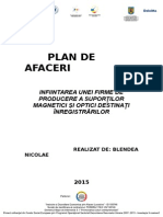 Plan Afaceri Blendea (1)