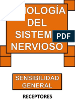 Fisiología Del Sistema Nervioso