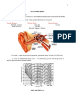 Ouvido Humano VF