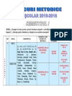 Cercuri Metodice An Scolar 2015-2016 Semestrul I