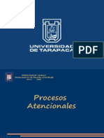 Procesos Atencionales. T1