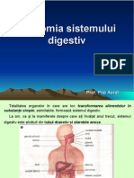 Anatomia Sistemului Digestiv.