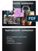 Aspergiloza