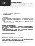Download Como Hacer Tu Propio Champ Matizador by Luzmila Chango SN289520556 doc pdf