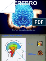 Cerebro Psico