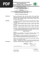 Download Sk Pembentukan Tim Akreditasi Puskesmas Pekkae by PUSKESMAS PEKKAE SN289529329 doc pdf