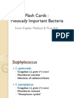Medically Important Bacteria flash Cards