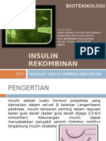 Insulin Rekombinan