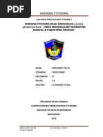 Download Laporan Praktikum Fitokimia i by Arin Rizky SN289562065 doc pdf