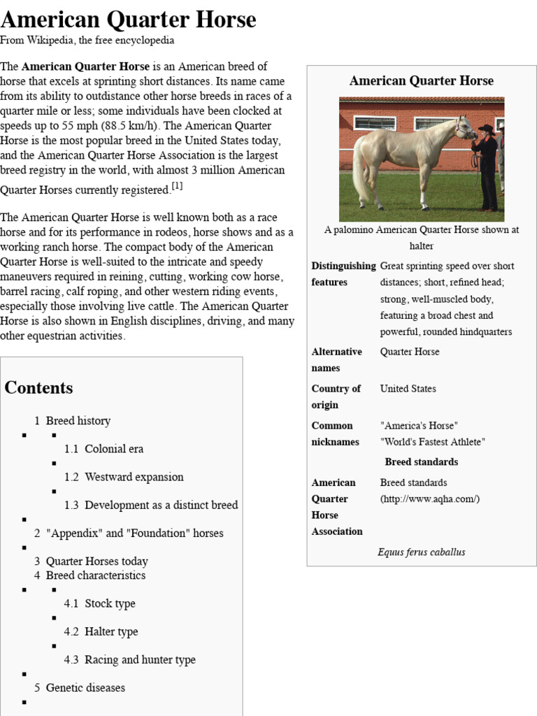 American Quarter Horse Breed Information Equidae Animals And Humans