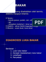 Luka Bakar: Diagnosis dan Terapi