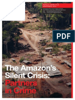 Greenpeace-rapport Amazonewoud