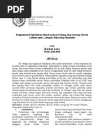 Download Mitosis Pada Akar Bawang Allium Cepa L by Putra Raka SN289589547 doc pdf