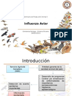 Influencia Aviar Produccion II