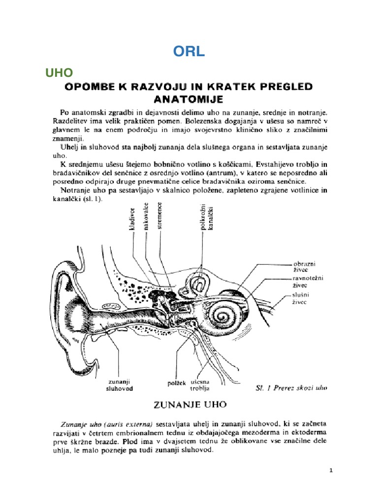 ORL Komplet | PDF