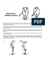 Aplomos en Ganado Vacuno