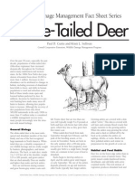 Deer Factsheet