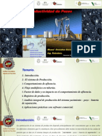 Productividad Integral Yacimiento - Pozo_Mzo 2014_Parte 1 - Copia