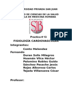 13 Fisiologia Cardiovascular