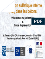 3 Presentation RSI Phenomene Guide 2008-05-22 Cle2a5864