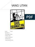 Download Makalah Orangutan by Dessy SN289617647 doc pdf