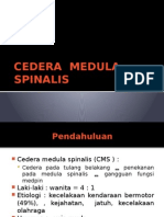 Medula Spinalis