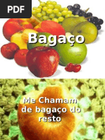 Bagaço